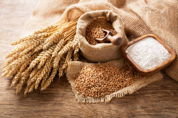 Wheat